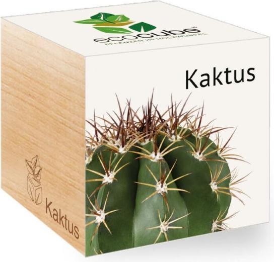 Immagine prodotto Feel Green Ecocube (Semi di piante)