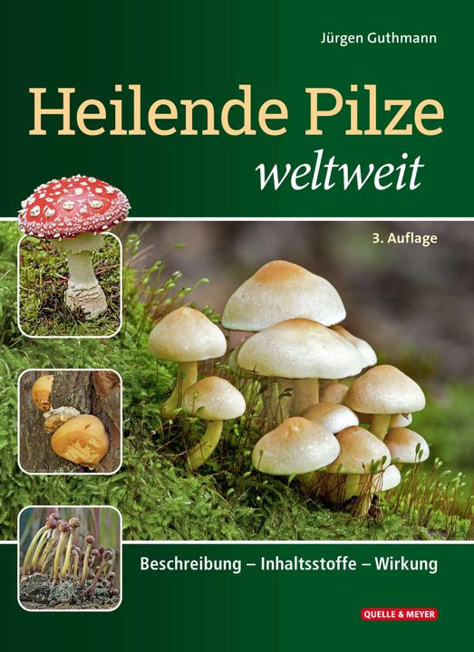 Image du produit Heilende Pilze weltweit (Allemand, Jürgen Guthmann, 2024)