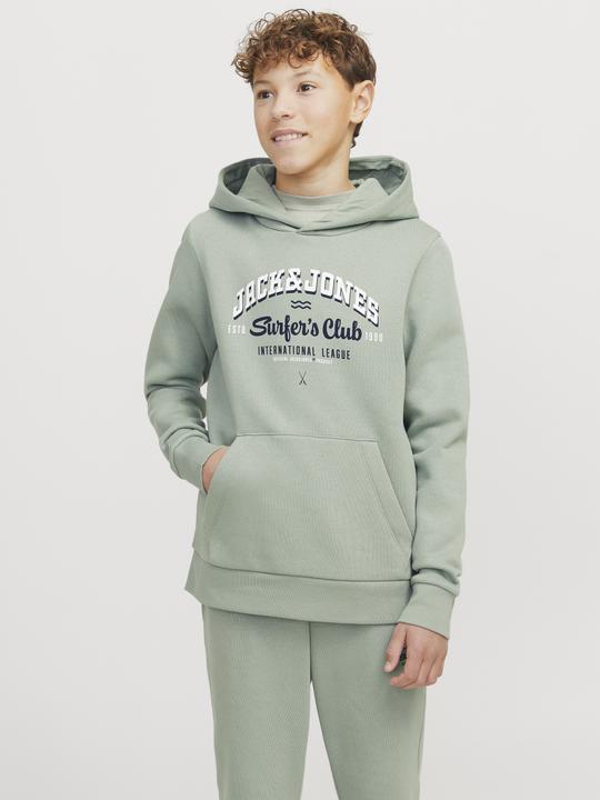Produktbild Jack & Jones JJELOGO SWEAT HOOD 2 COL 24/25 NOOS JNR (152)