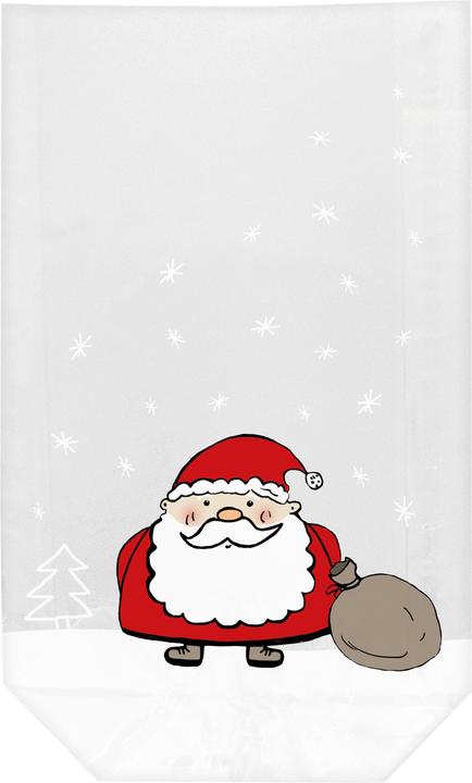Produktbild Braun + Company Weihnachtsmann (Geschenkbox, 10 x)
