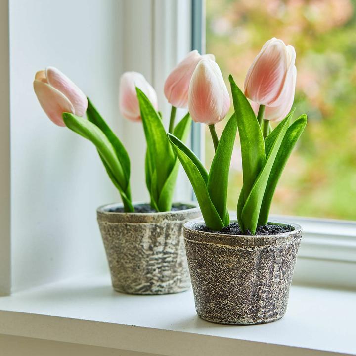 Actual product image Loberon Deko-Tulpe 2er Set Zéphine rosa (20 cm)