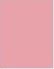 Actual product image Maybelline New York Super Stay Matte Ink (10 Dreamer)
