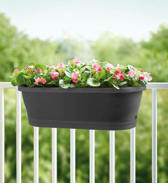 Produktbild Elho Corsica Easy Balcony (24 cm)