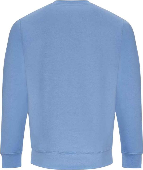 Actual product image Awdis Adults Unisex Just Hoods Sweatshirt (L)