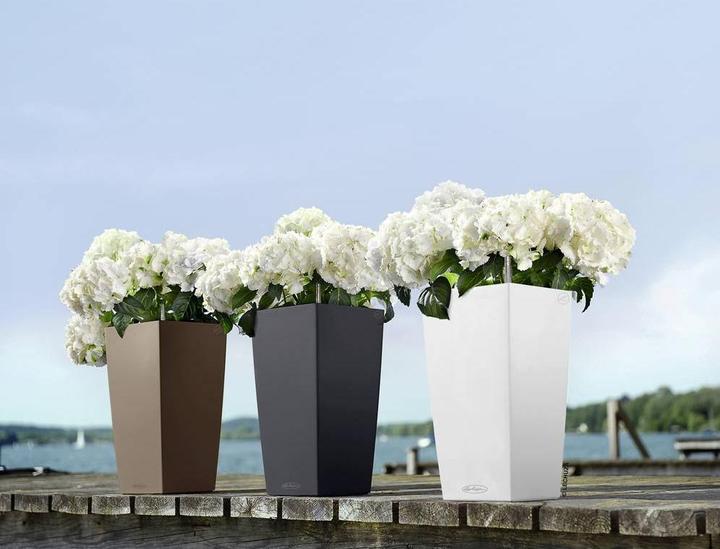 Produktbild Lechuza Cubico Color (29.50 cm)