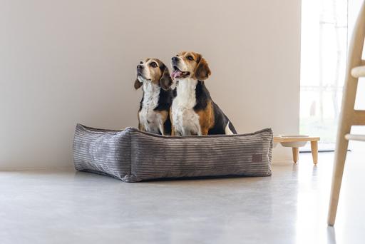 Image du produit Designed by Lotte Ribbed (Chien)