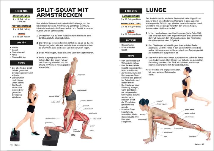 Image du produit Fit und stark in 10 Minuten (Allemand, Sean Adams, 2023)