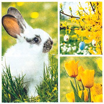 Image du produit Magni 20 kleine Cocktail-Servietten Collage für den Frühling Hase Blumen Tischdeko Decoupage Serviettentec (20 x, 25 x 25 cm)