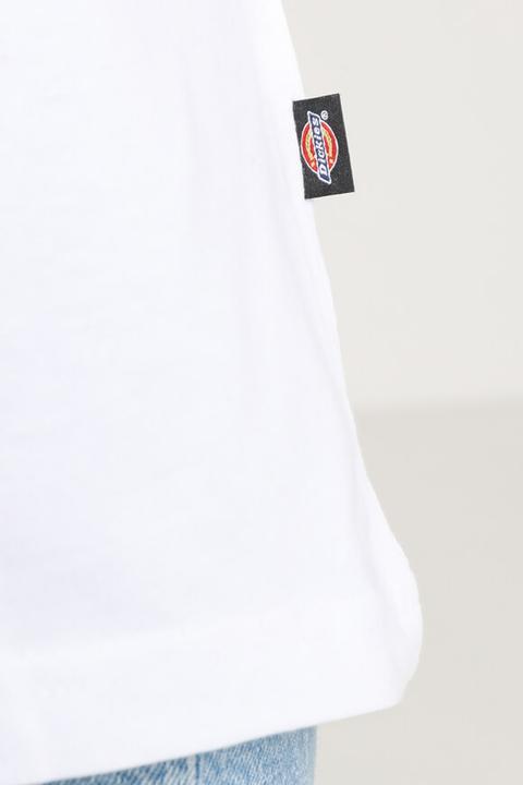 Immagine prodotto Dickies Mapleton (S)