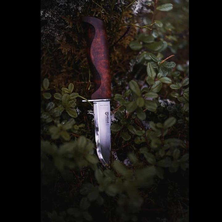 Actual product image Helle Belt knife SPEIDER 05, stainless, steel 12C27, finger guard, burl birch handle, leather sheath. (9 cm)