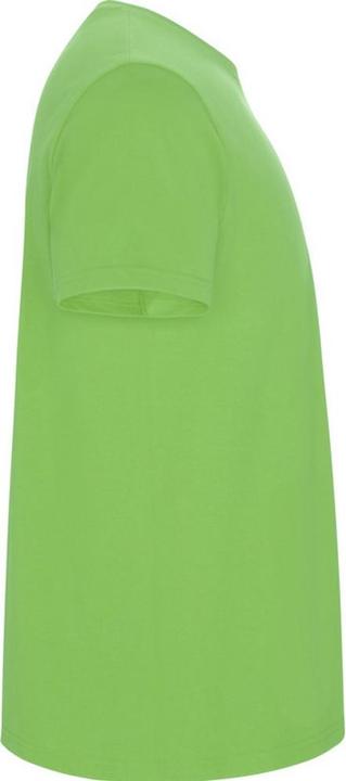 Image du produit Alpinia - T-shirt STAFFORD - Homme (S)