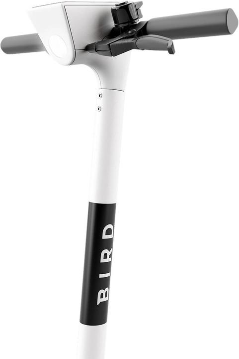 Actual product image Bird One (20 km/h, 48 km, 350 W)