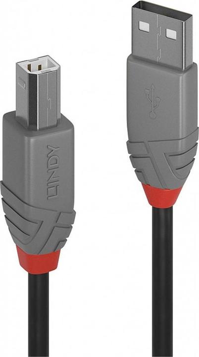 Actual product image Lindy USB A-Usb B (7.50 m, USB 2.0)
