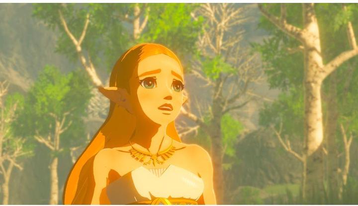 Produktbild Nintendo The Legend of Zelda: Breath Of The Wild (Switch, Multilingual)