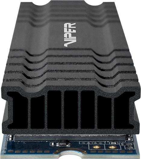 Immagine prodotto Patriot Viper VPN100 (256 GB, M.2 2280)