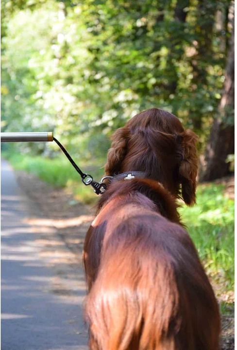 Produktbild Dobar Plus (One Size, Hund, Spazieren, Fahrrad)
