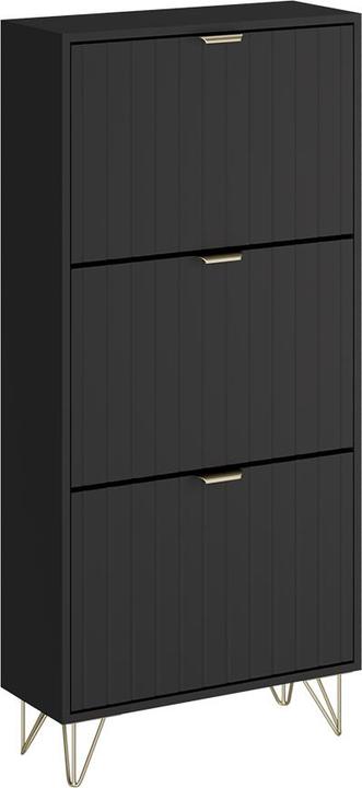 Immagine prodotto Vichy Schuhschrank Helge, Schwarz, 60 x 128.5 cm 3 Fächer