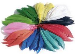 Produktbild Folia Indianerfedern, 100 g, farbig sortiert
