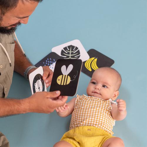 Actual product image Taf Toys My first playing cards