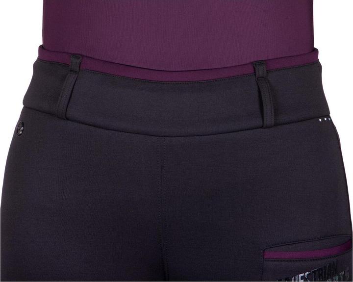 Produktbild Qhp Reitleggings World Tour Vollbesatz Damen (32)