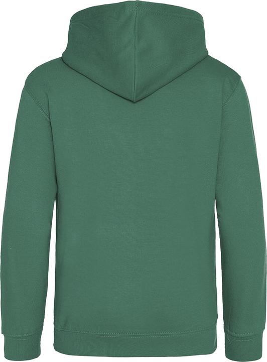 Actual product image Awdis Hooded sweater (146)