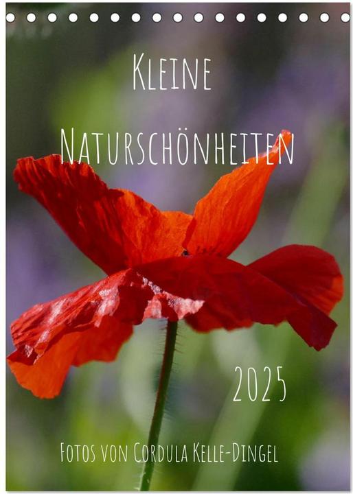 Produktbild Kleine Naturschönheiten (Tischkalender 2025 DIN A5 hoch), Monatskalender (A5, Deutsch)