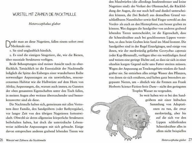 Image du produit Die seltsamsten Tiere der Welt – Skurrile Schöpfungen der Evolution. Tierporträts, die Darwin und (Allemand, Lisa Signorile, 2019)