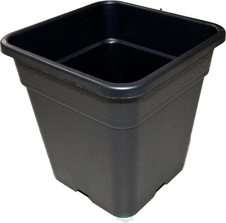 Actual product image Tamar Square pot