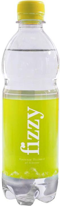 Actual product image Fizzy Gazzosa ticinese (1 x 50 cl)