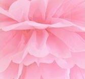 Immagine prodotto Partydeco Pompon di carta velina, rosa chiaro, 25 cm (1 pz.)