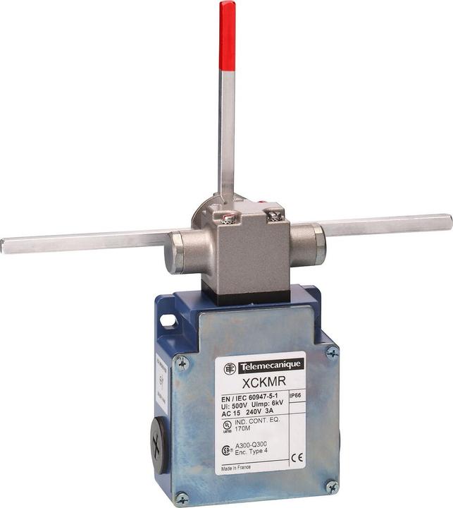 Actual product image TE Sensors Limit Switch Rev Hd Cross Rods 2x2NC M20