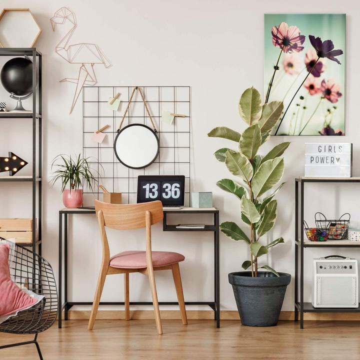 Produktbild Trenddeko Rosa Kosmeen (100 x 70 cm)
