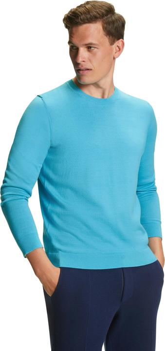 Actual product image Falke Men Pullover (S)