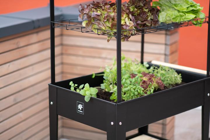 Actual product image Herstera Trolley Retail