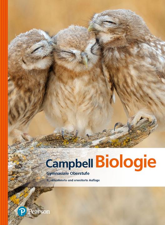 Image du produit Campbell Biologie Gymnasiale Oberstufe (Allemand, Peter V. Minorsky, Steven A. Wasserman, Michael L. Cain, Jane B. Reece, Lisa A Urry, 2021)