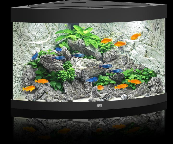 Immagine prodotto Juwel Aquarium Acquario Trigon 190 98.5x59.5x70cm nero (190 l)