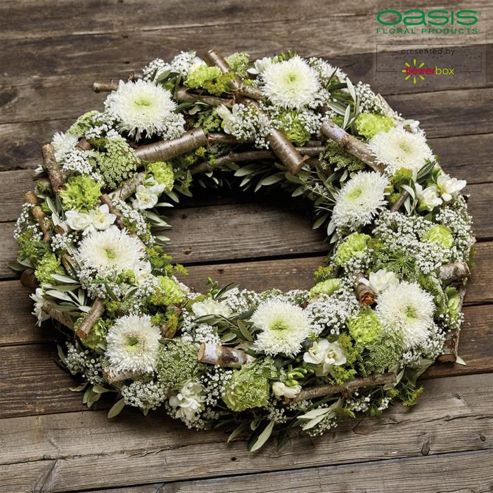 Image du produit Oasis BIOLIT Couronne