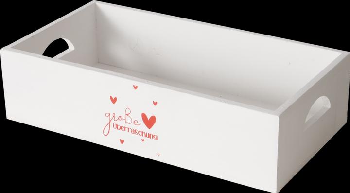 Actual product image Boltze Home Surprise