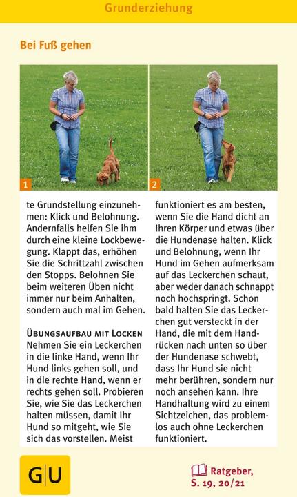 Image du produit Hunde Clicker-Box 36 Trainingskarten (Allemand, Sabine Winkler, 2016)