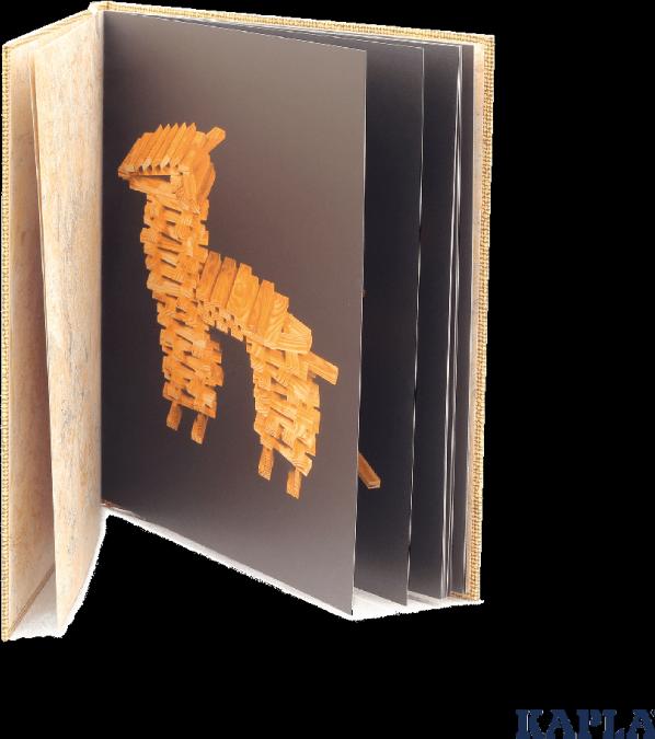 Immagine prodotto Kapla Libro 4 beige