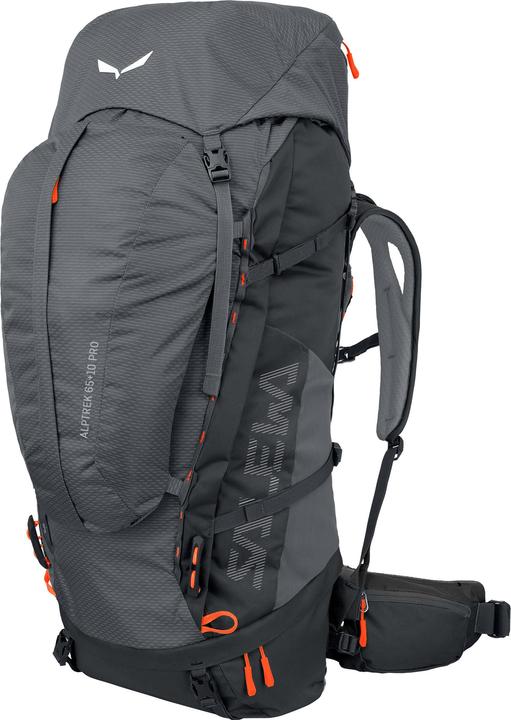 Actual product image Salewa Alptrek + L Pro (65 l)