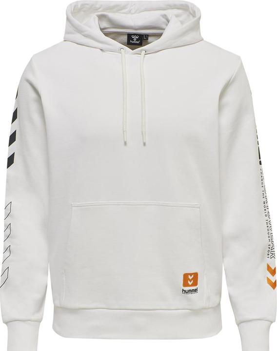 Actual product image hummel Lgc Birk Hoodie (S)