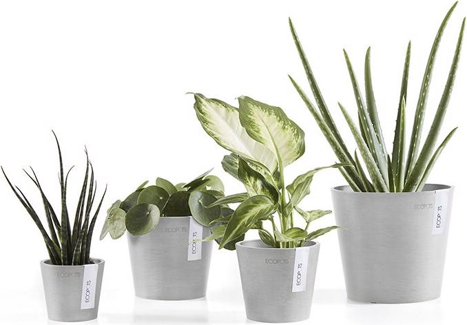 Image du produit Ecopots Amsterdam Mini (10.50 cm)