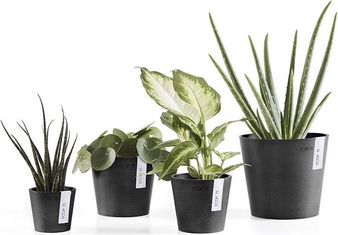 Actual product image Ecopots Amsterdam Mini (17 cm)