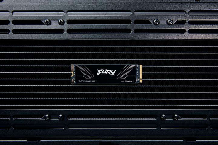 Image du produit Kingston FURY Renegade G5 (4096 Go, M.2 2280)