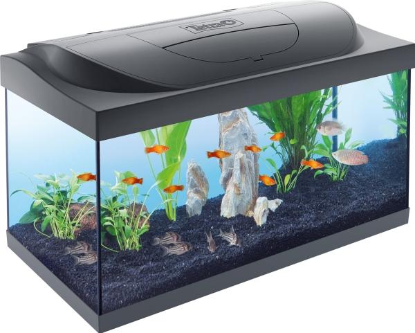 Produktbild Tetra StarterLine (LED, 10 W)