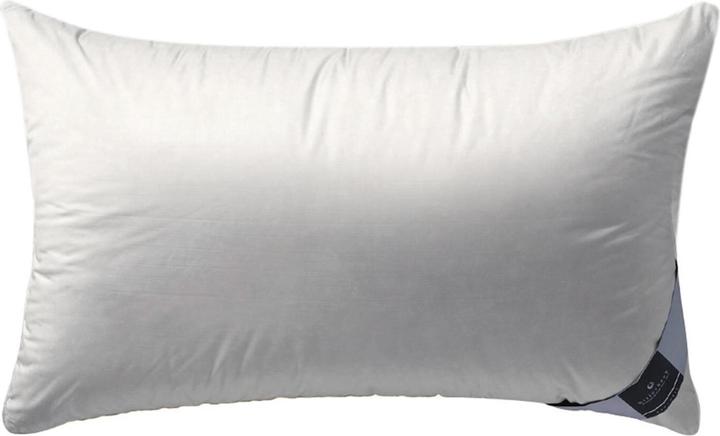Actual product image Billerbeck Ambiente (40 x 80 cm)