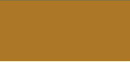 Actual product image Bobbi Brown Intensive Serum Foundation (Golden)