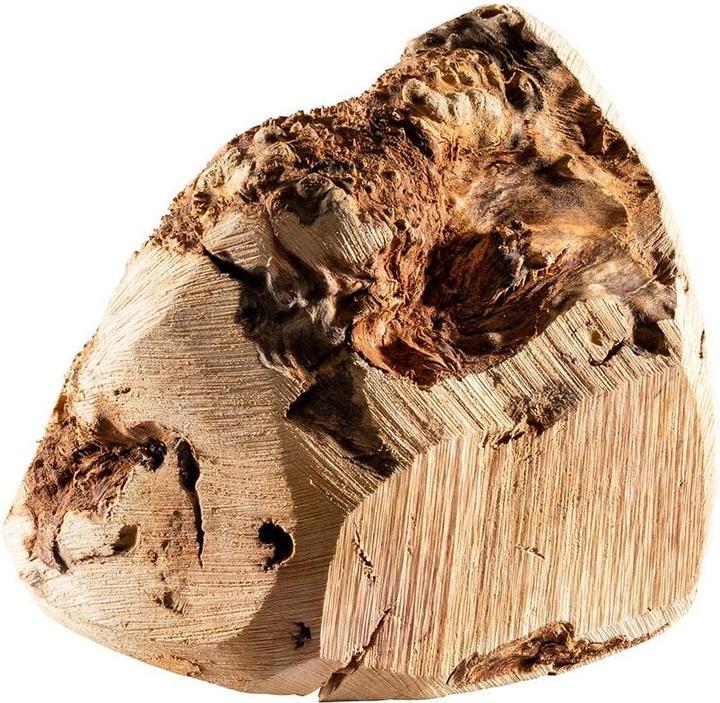 Image du produit Chewies Racine à mâcher (Adulte, 1 pcs, 350 g)