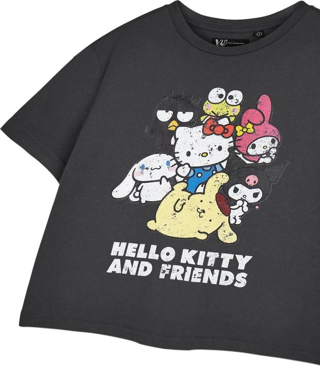 Produktbild Hello Kitty & Friends TShirt kurz geschnitten kurzärmlig (S)